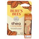 Burts Bees Shea and Cocoa Butter Moisturizing Lip Balm, 0.34 Ounce -- 6 per case
