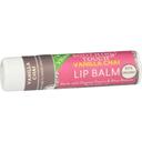 Soothing Touch Vanilla Chai Lip Balm, 0.25 Ounce -- 12 per case