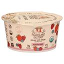 Painterland Sisters Organic Meadow Berry Skyr Yogurt, 5.3 Ounce -- 8 per case