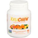 Xylichew Sugar Free Fruit Chewing Gum, 60 count -- 4 per case