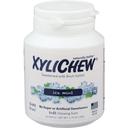 Xylichew Sugar Free Ice Mint Chewing Gum, 60 count -- 4 per case