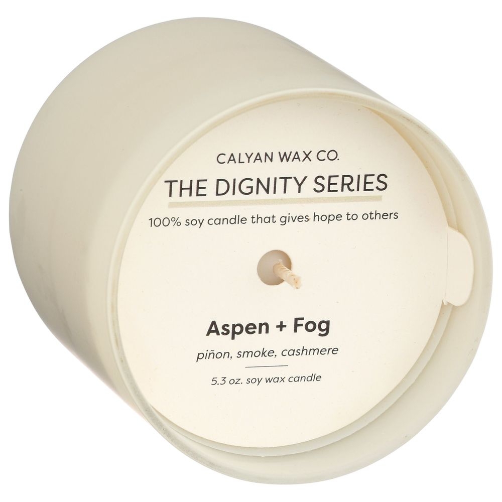 Calyan Wax Aspen Plus Fog Soy Candle, 5.3 Ounce -- 6 per case
