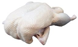 Product thumb gallery 2479437