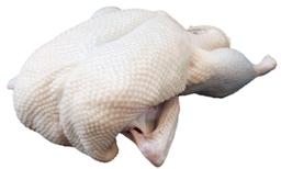 Product thumb gallery 2479485