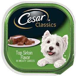 Cesar Canine Cuisine Top Sirloin Flavor In Sauce Dog Food, 3.5 Ounce -- 24 Per Case