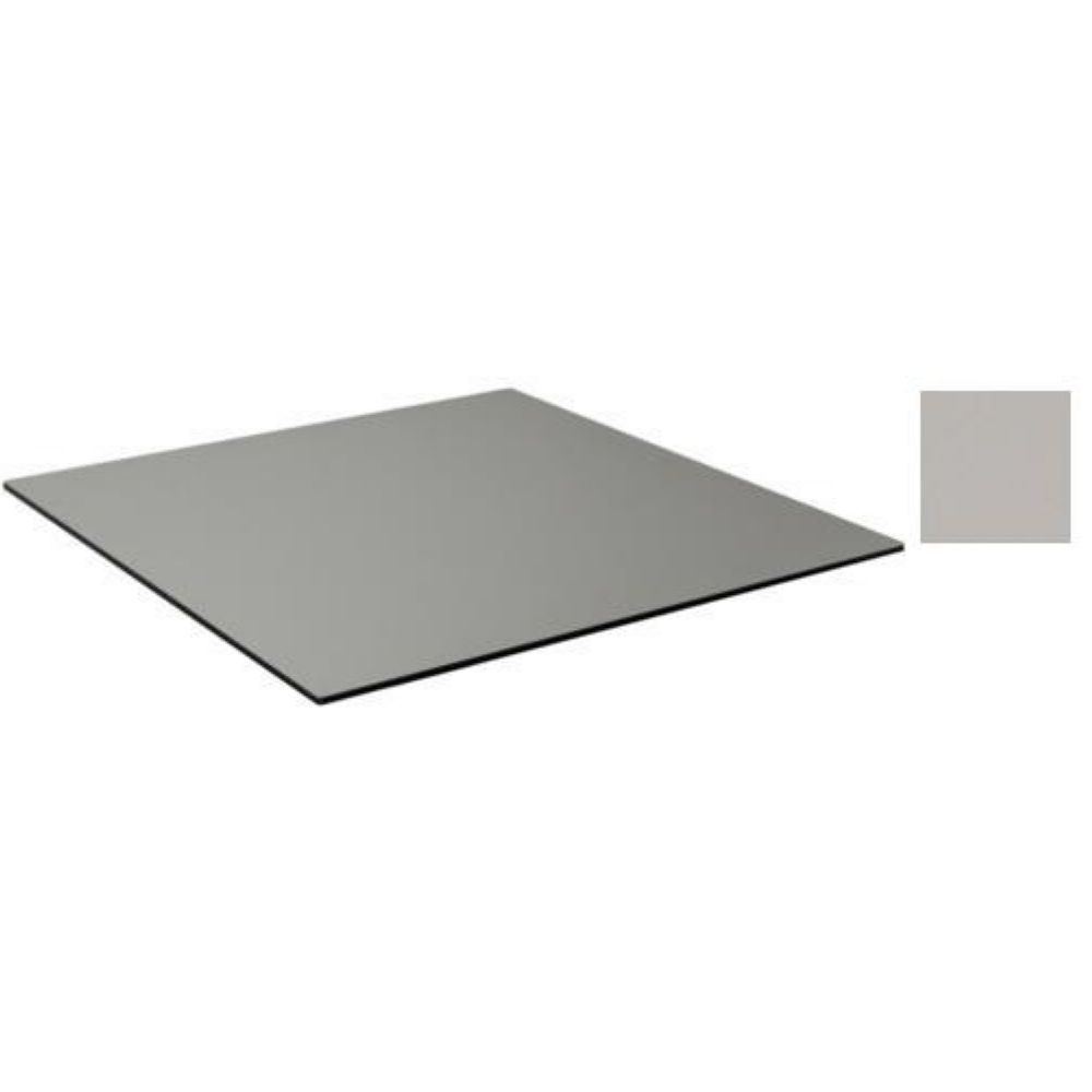 Emu Alf Metal Brushed Outdoor Indoor Table Top Only, 48 x 32 inch.