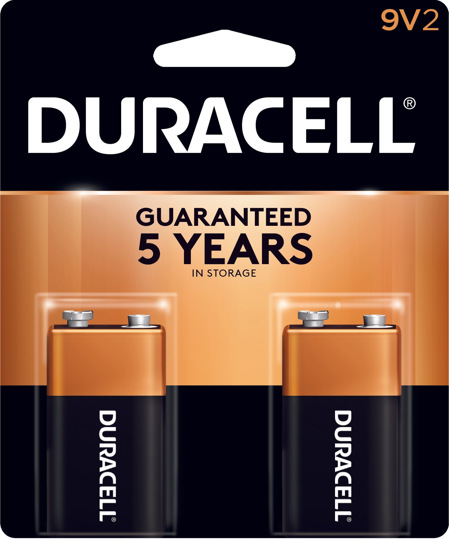 Duracell Personal Power Coppertop Alkaline Battery, 2 count per pack -- 48 per case.