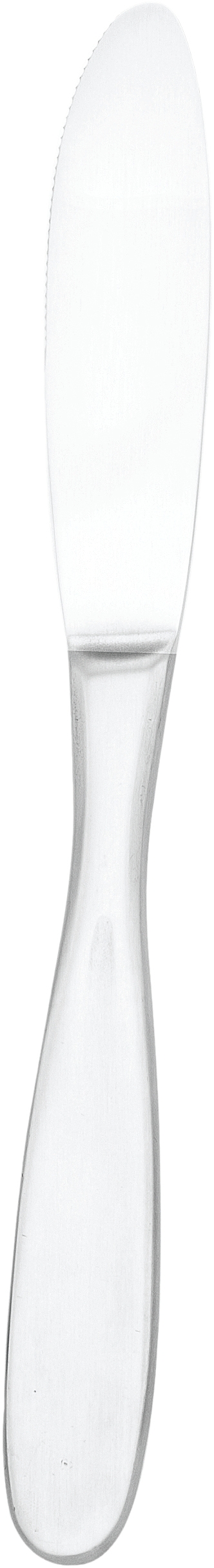 Walco 18/10 Stainless Hallmark 2000 Modernaire Table Knife -- 12 Per Case