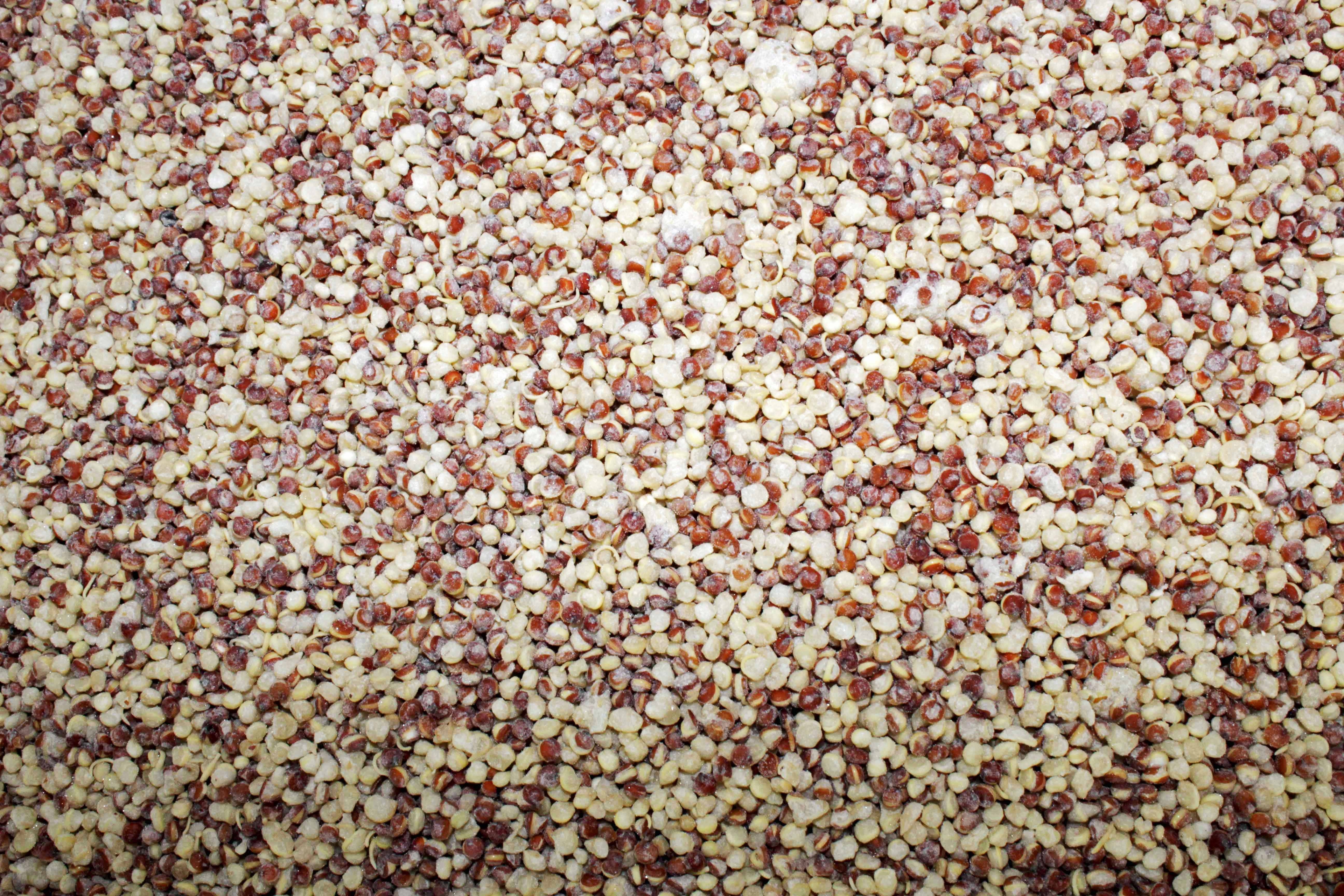 Savor Imports Individual Quick Frozen Red And White Quinoa, 30 Pound