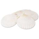 Alegacy Natural Baking Shell, 5 1/2 inch.