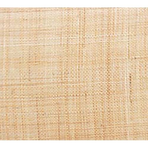 Cambro Rattan Rectangular Low Profile Rim Camtray, 4 1/4 x 6 inch -- 12 per case.