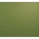 Cambro Olive Green Rectangular Low Profile Rim Camtray, 4 1/4 x 6 inch -- 12 per case.