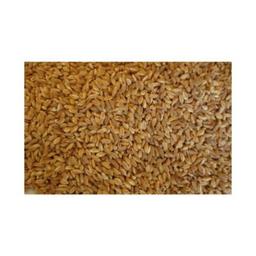 Product thumb gallery 32560