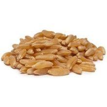 Product thumb gallery 512791