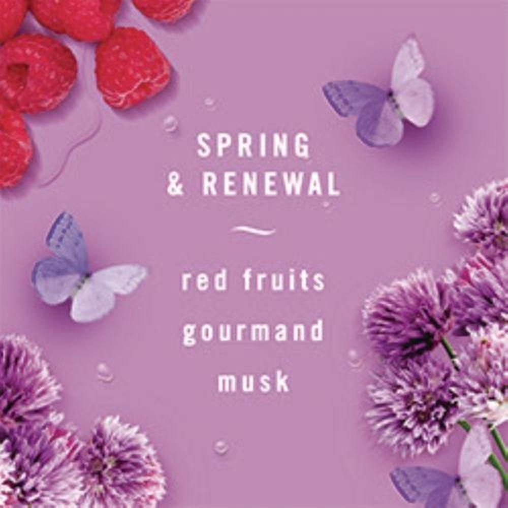 Product gallery 4282744