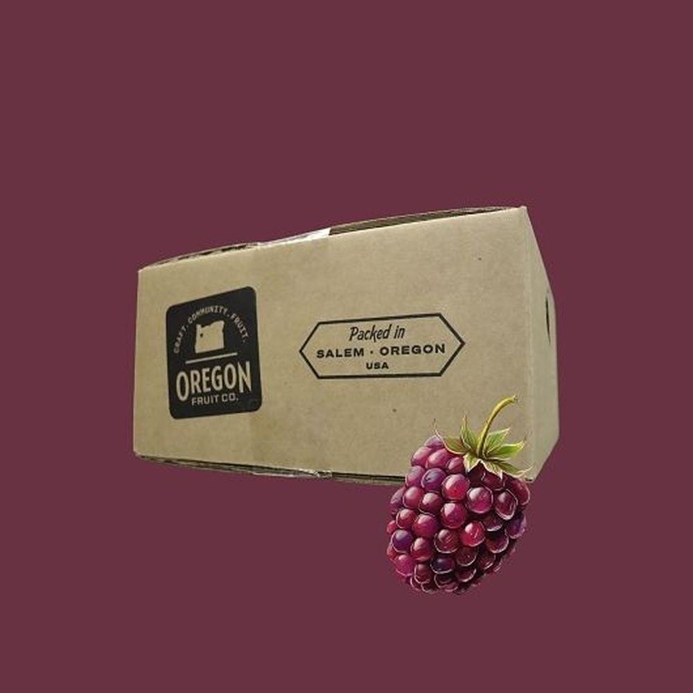 Product gallery 452336434