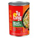 Stir Fry Bean Sprouts