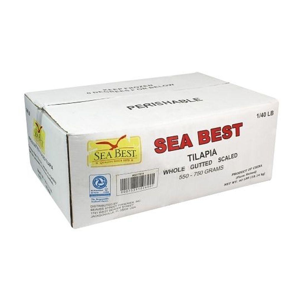 Product gallery 392844515