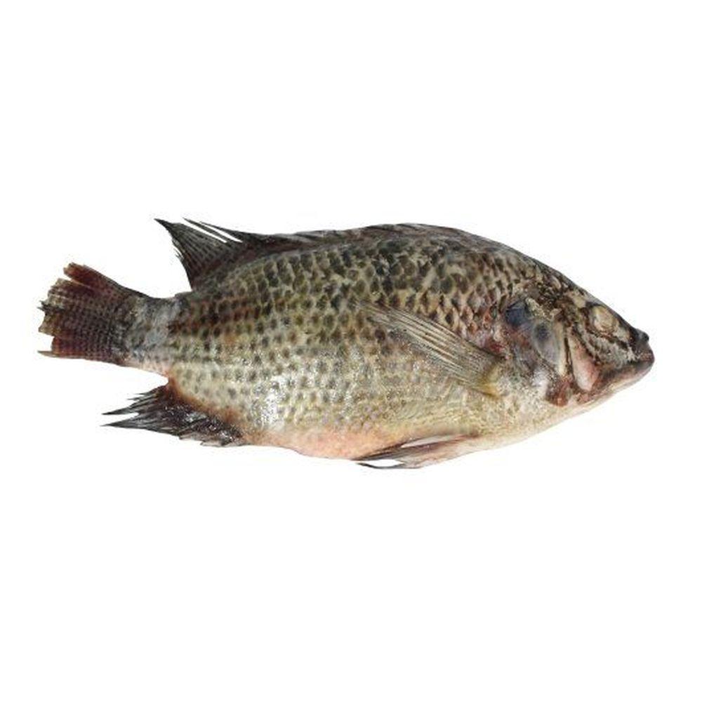 Product gallery 329671634