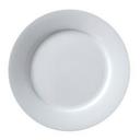 Porcelain White 9 3/4 inch Wide Rim Plate
