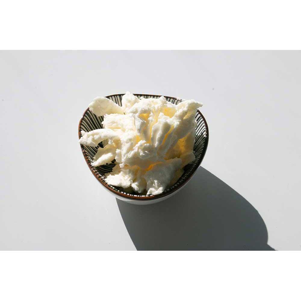 Product gallery 569513505