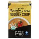 Organic Malaysian Laksa Noodle Soup