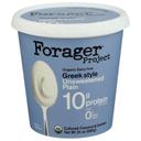 Organic Unsweetened Plain Cultured Coconut and Cashew Greek Style Yogurt