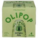 Ginger Ale Prebiotic Soda