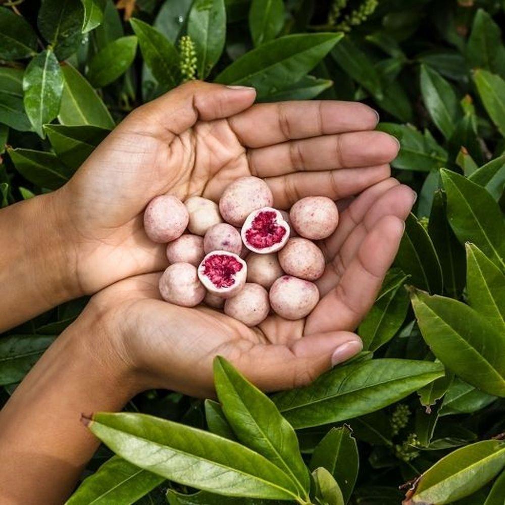 Product gallery 946530149