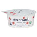 Strawberry and Rhubarb Non Fat Probiotic Skyr