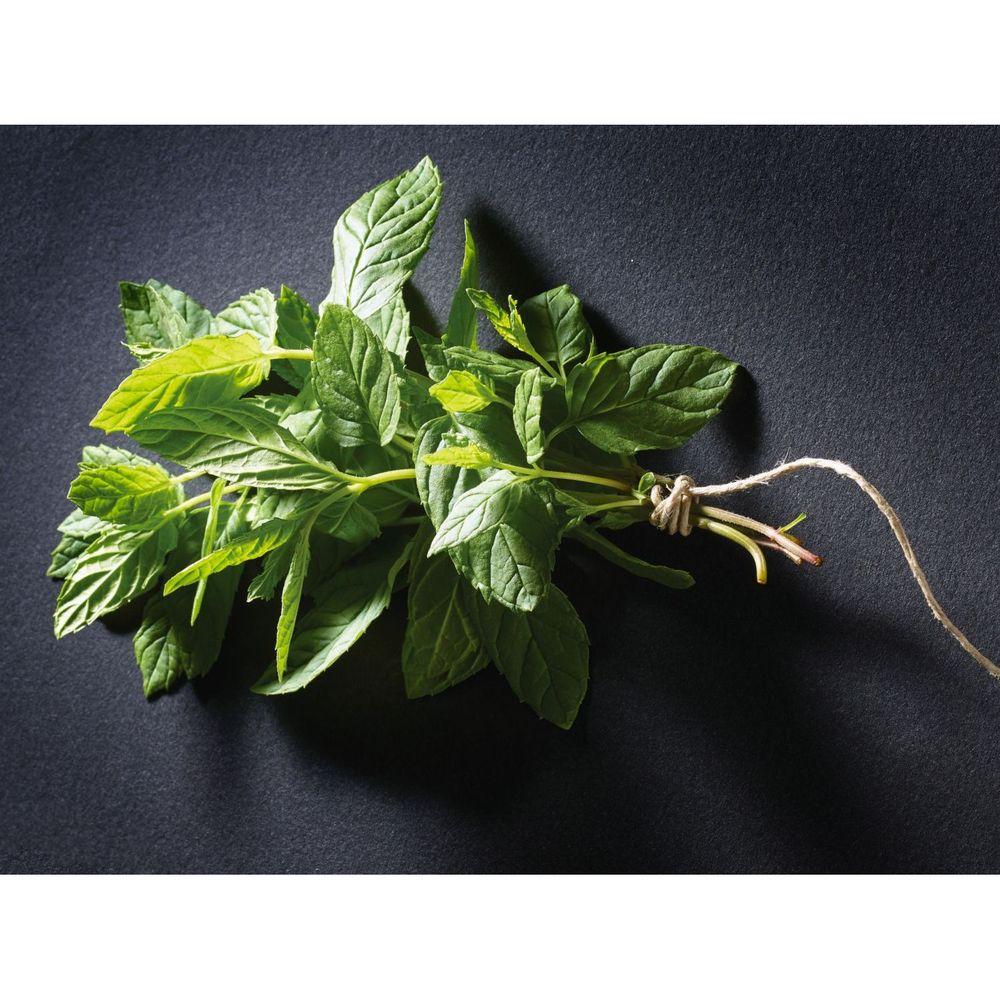 Product gallery 625874531