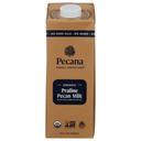 Organic Praline Pecan Milk