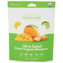 Citrus Splash Dried Organic Mangoes 2.8 Ounce