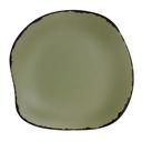 Marisol Rustic Sage 9.5 inch Melamine Plate, 12 count
