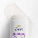 Phoenix XL Deodorant Body Spray