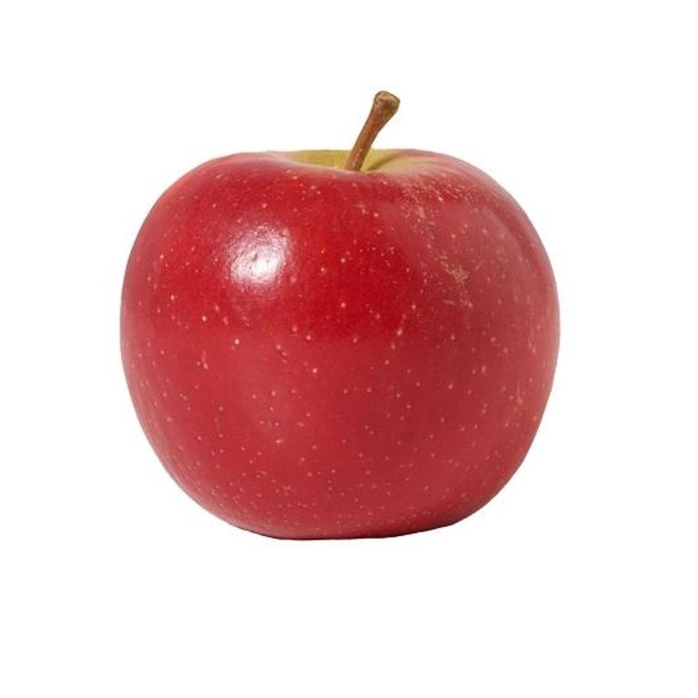 Product gallery 871330601