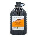 Colavita Balsamic Vinegar, 5 liter -- 2 per case