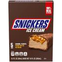 Caramel Peanuts Peanut Butter Ice Cream Bar 10 Fluid Ounce