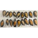 Cooked Half Shell Mussels