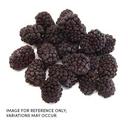 Commodity Fruit Whole Blackberry, 5 Pound -- 2 per case.