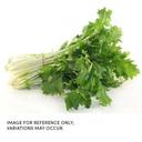 Commodity Canned Fruit and Vegetables Turnip Greens, Number 10 Can -- 6 per case