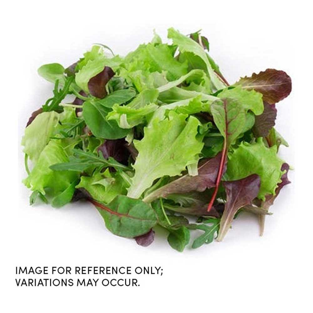 Product gallery 718091409