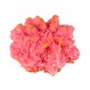 Raspberry Coconut Macaroons