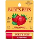 Strawberry Moisturizing Lip Balm - Blister Pack