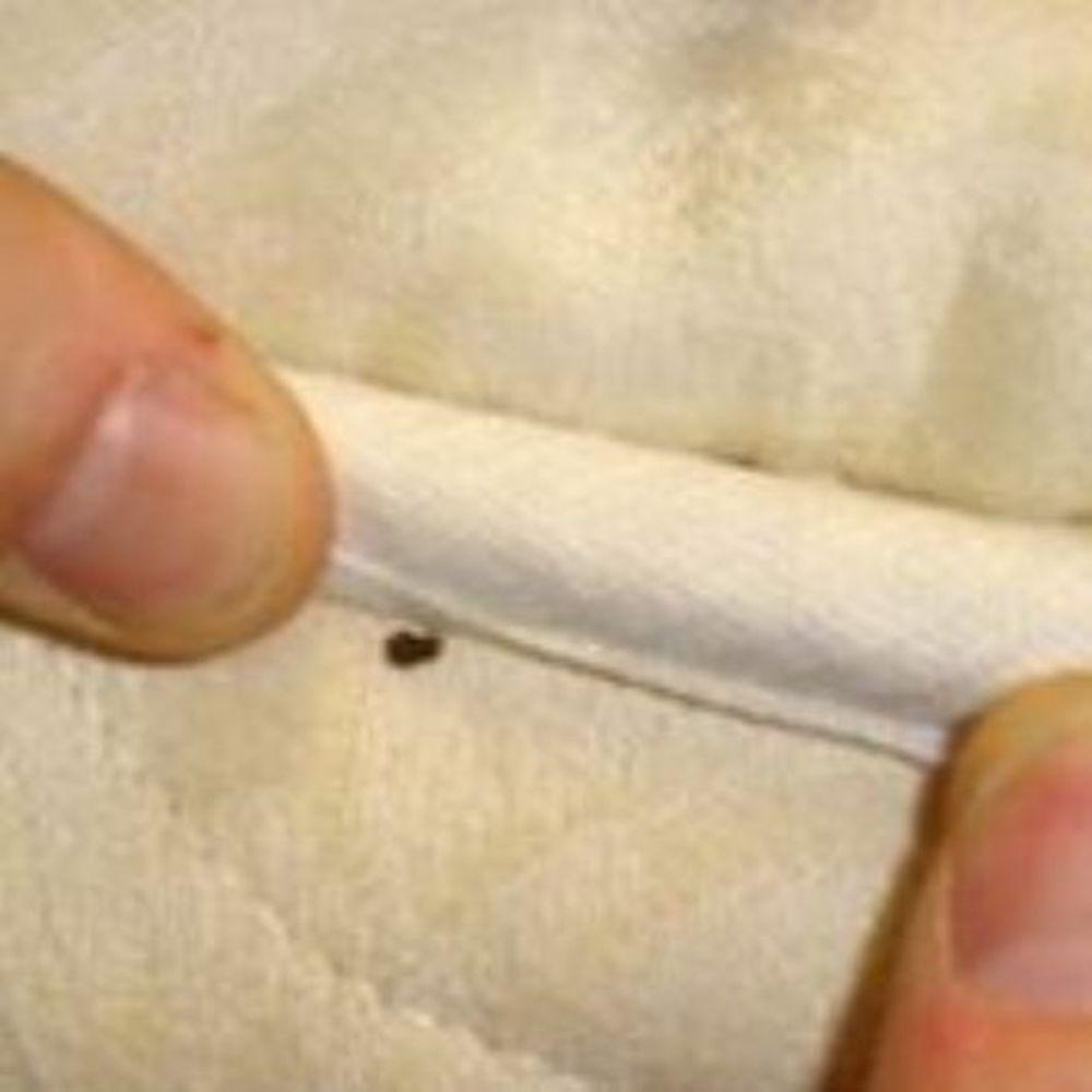 Product gallery 89779361