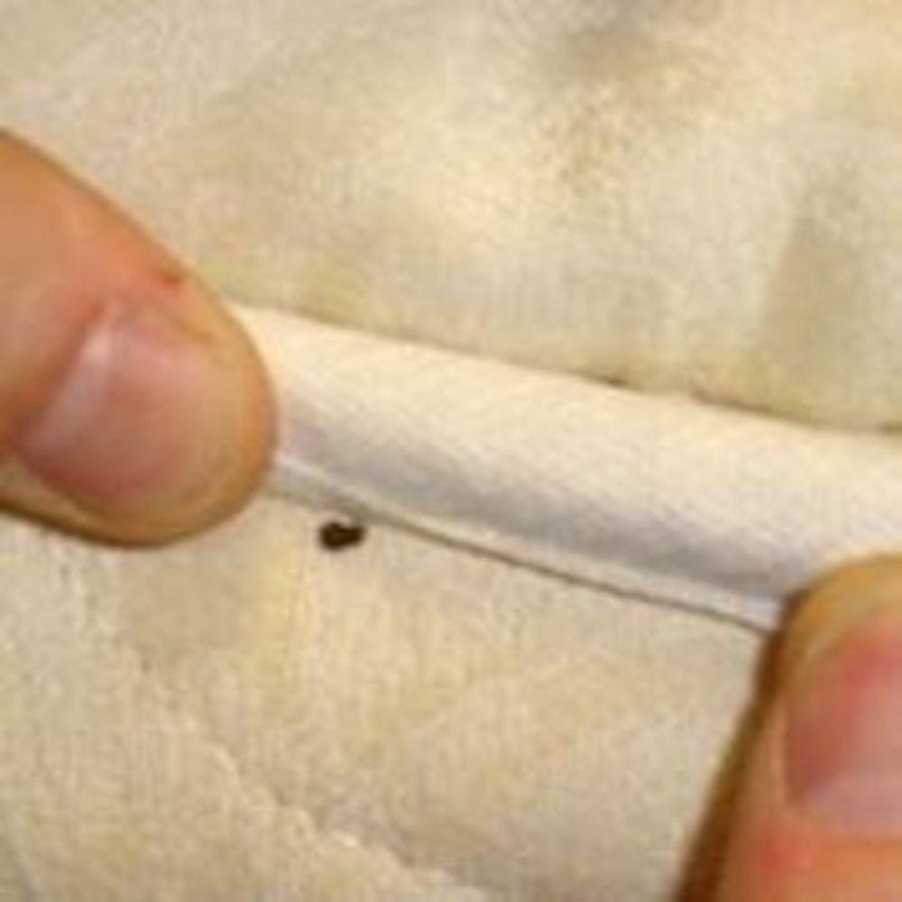 Product gallery 439939622