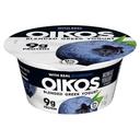 Blueberry Blended Fat-Free Yogurt