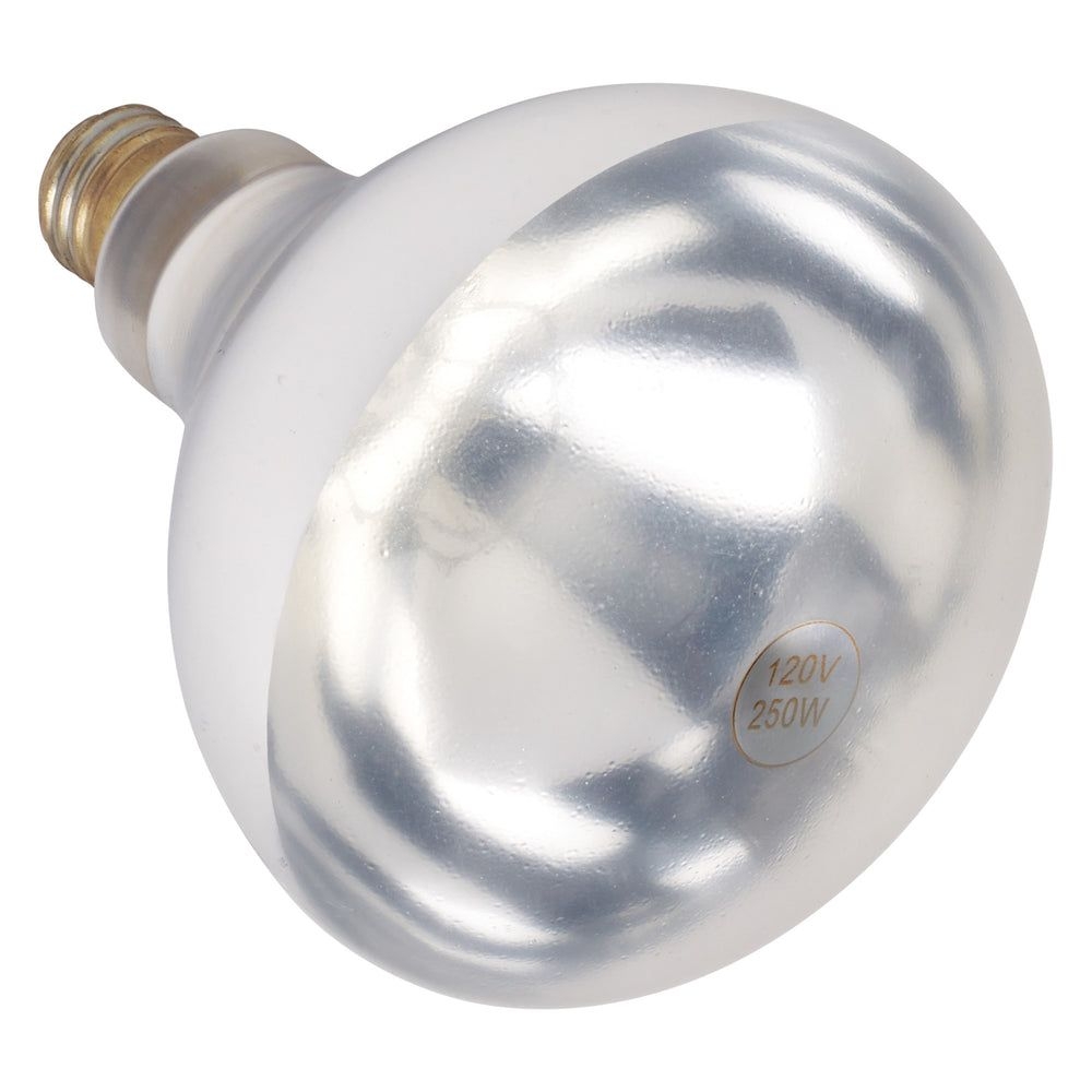 Winco White 250w Infrared Shatter-resistant Bulb For Ehl-2 Heat Lamp Set -- 12 Per Case