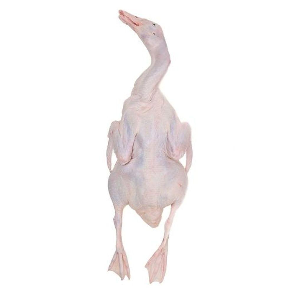 Product gallery 617995110