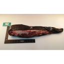 Wagyu Beef Tenderloin